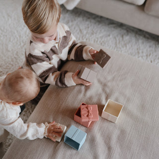 Mix and Match Toy