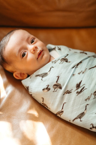 Goose Bamboo Swaddle