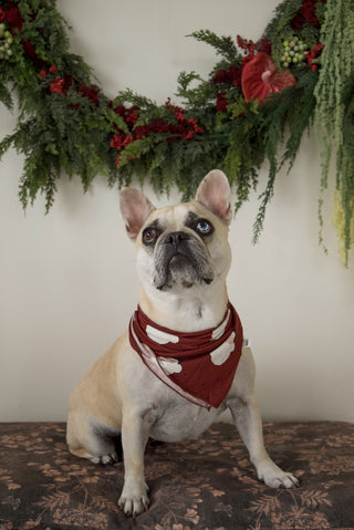 Bamboo Bandana | Vintage Santa