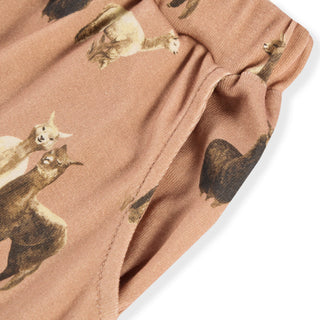 Alpaca Organic Cotton Jogger Pants