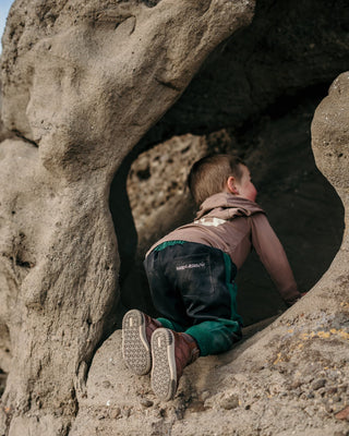Hiking pants Toddler Boys