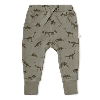 Organic Kimono Onesie & Pants Set - Dino