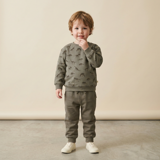 Organic Fleece Sweatshirt - Dino