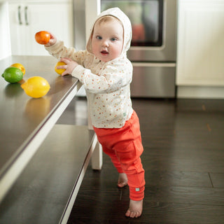 hoodie | tutti frutti