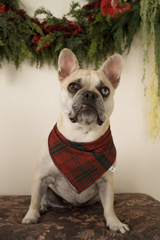 Bamboo Bandana | Christmas Plaid