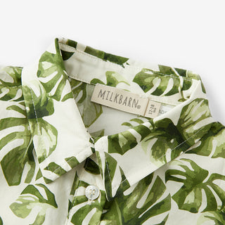 Island Leaf Collared Shortall