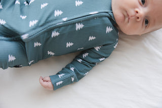 Northern Pine (ribbed) - Zippy