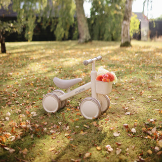 Mini Toddler Bike
