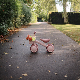 Mini Toddler Bike