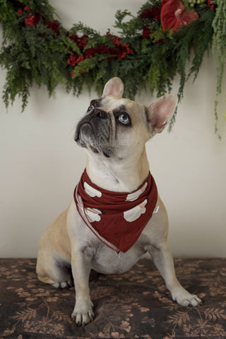 Bamboo Bandana | Vintage Santa