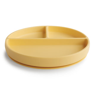 Silicone Suction Plate