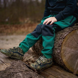 Hiking pants Toddler Boys
