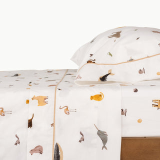 Wholesale 100% Cotton Sheet Set