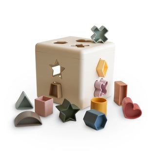 Shape Sorting Box-