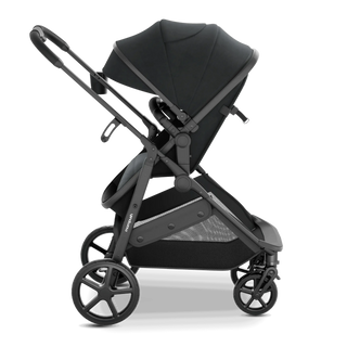 Mompush Wiz