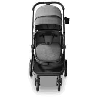 Mompush Wiz