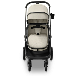 Mompush Wiz