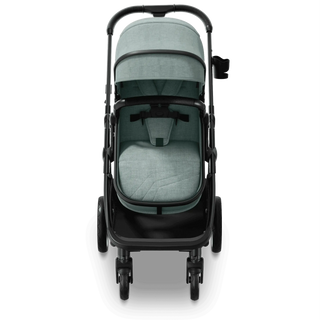 Mompush Wiz