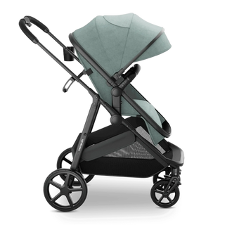 Mompush Wiz