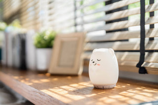 Cute Night Lamp Portable Sound Machine - New Mom Gift