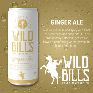 Ginger Ale - Premium Cane Sugar Soda can