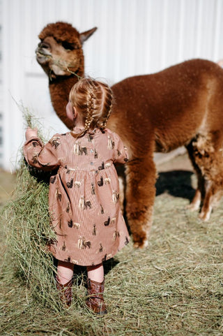 Alpaca Corduroy Dress & Bloomer Set