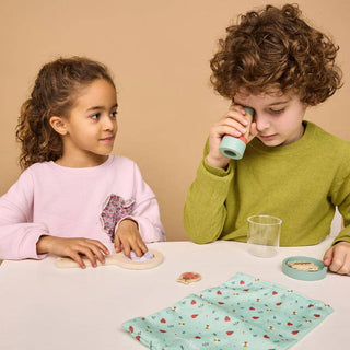 Insects Kit
