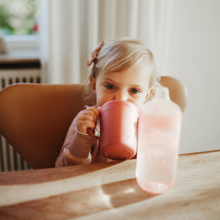 Trainer Sippy Cup