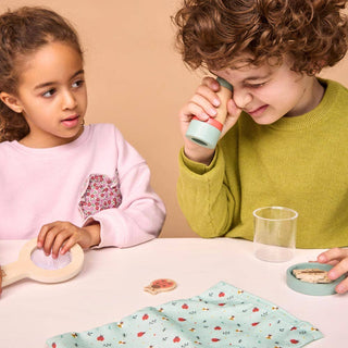 Insects Kit