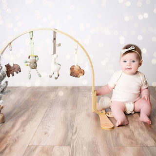 Natural Play Gym