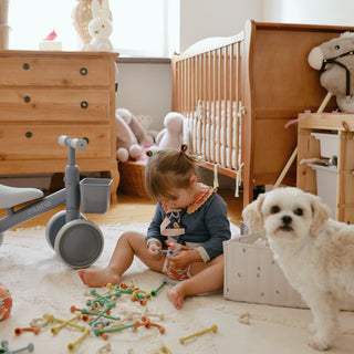 Diaper Caddy