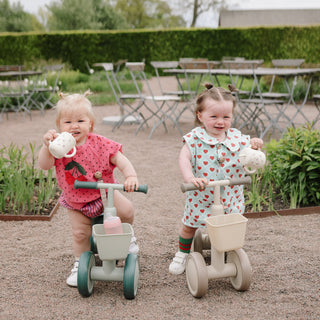 Mini Toddler Bike