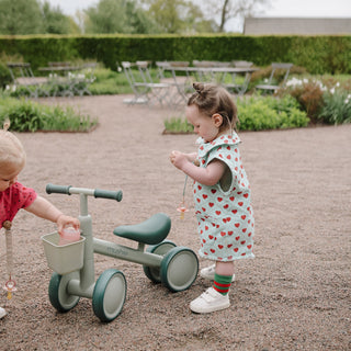 Mini Toddler Bike
