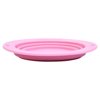 Rose Collapsible Bowl for Travel or Home