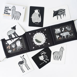 Baby Tummy Time Gallery with Mirror Gift Set