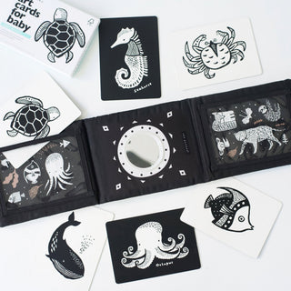 Baby Tummy Time Gallery with Mirror Gift Set