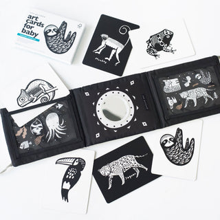 Baby Tummy Time Gallery with Mirror Gift Set